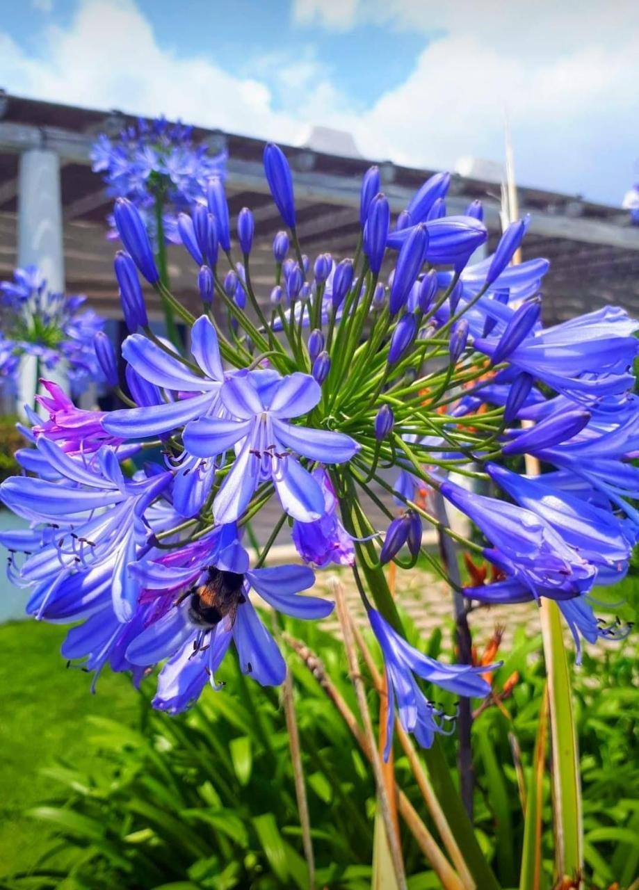 Blue Marine Apartment Поцало Екстериор снимка